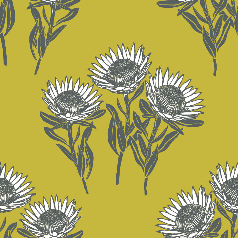 King-Protea-Chartreuse_800x800_Tharien-Smith.jpg