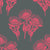 King-Protea-Coral_800x800_Tharien-Smith.jpg