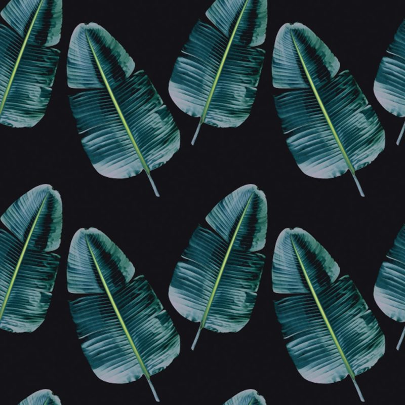 Leaf-Weave-Tropical-Clinton-Friedman--e1468589100339.jpg