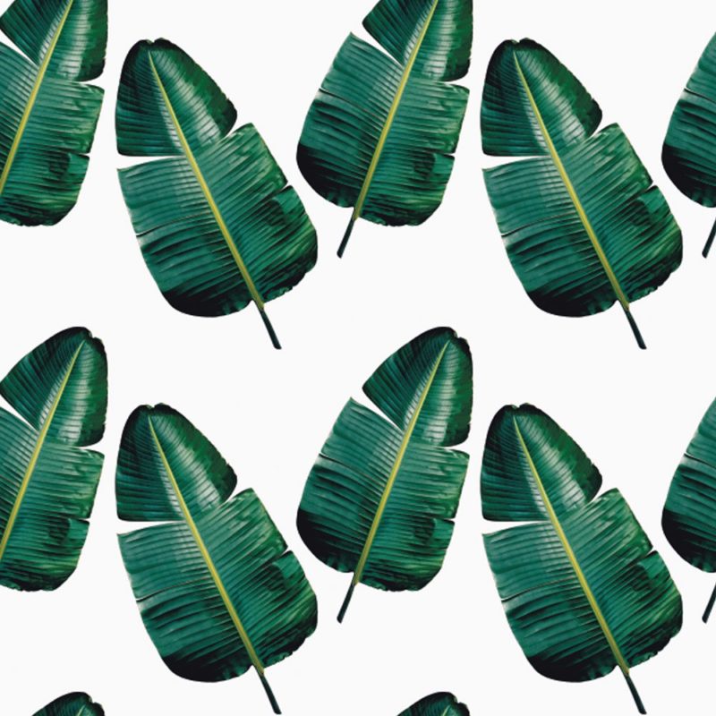 Leaf-Weave-Tropical-White-Clinton-Friedman-e1468589081444.jpg
