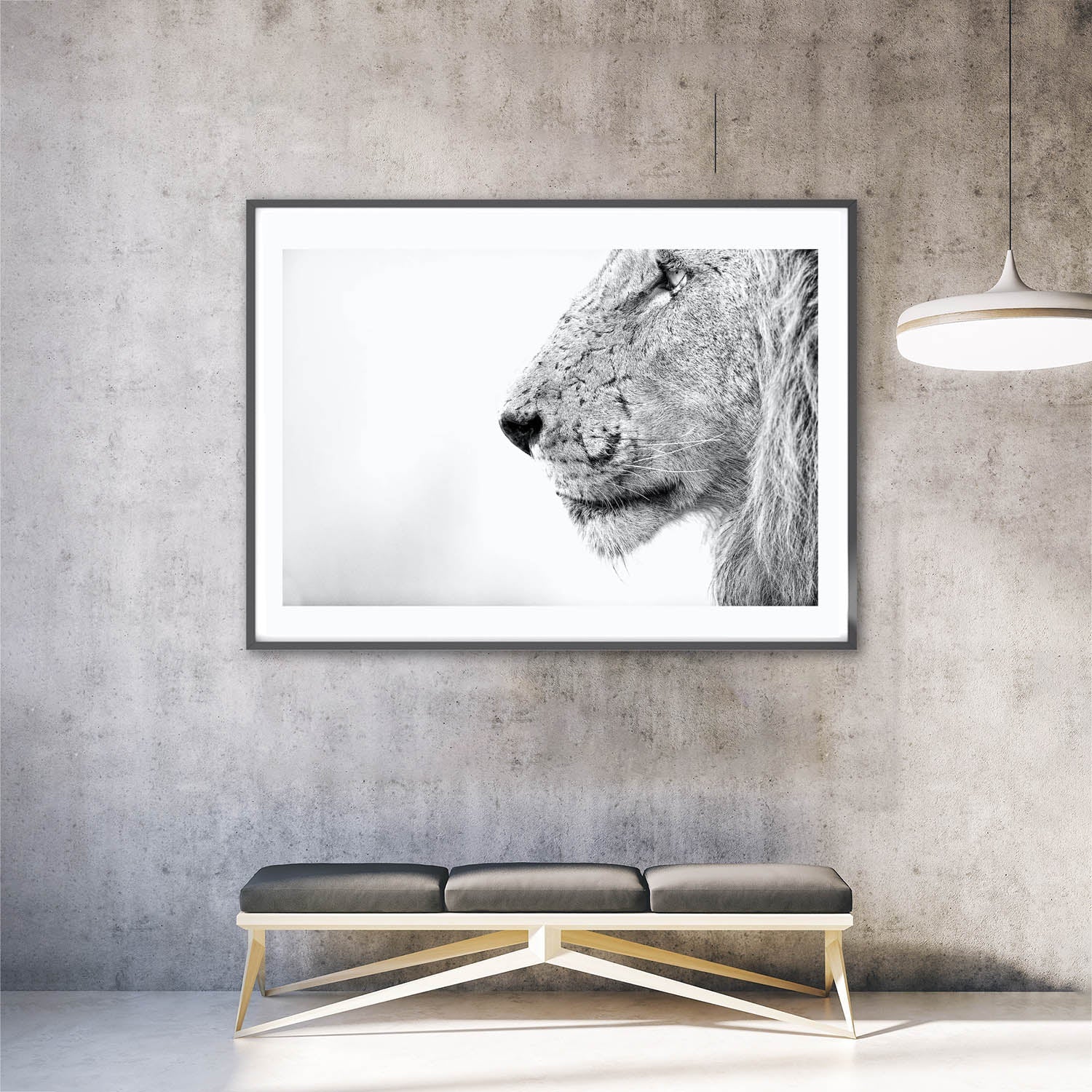 LionKrugerPark-insitu.jpg