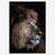 LionProfilenew_32b1aa58-957c-4af3-ae96-b5b9dc0fcb29.jpg