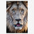 LionStare_4df6f0e2-64ee-46ba-944b-a35f32b348ce.jpg