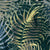 Living-Nature-Black-1.jpg
