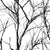 Love-MIlo_Robin-Sprong-Wallpaper_Branch_White.jpg