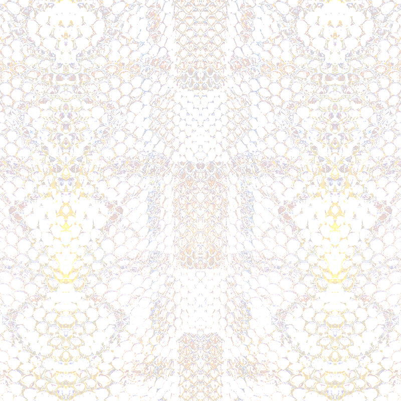 Mamba-Matrix-by-CF.jpg