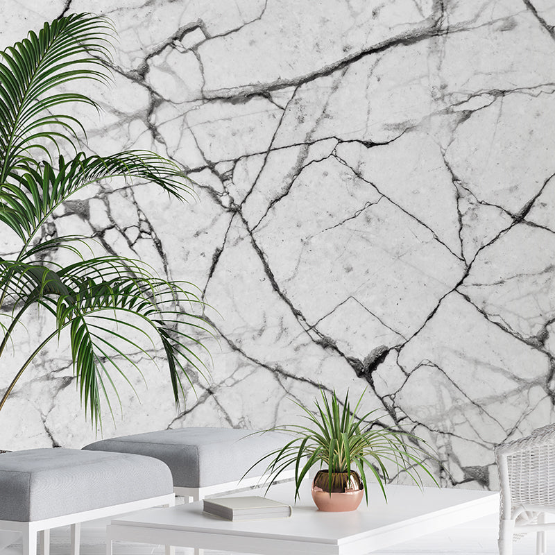 White-Marble-Rep-02.jpg