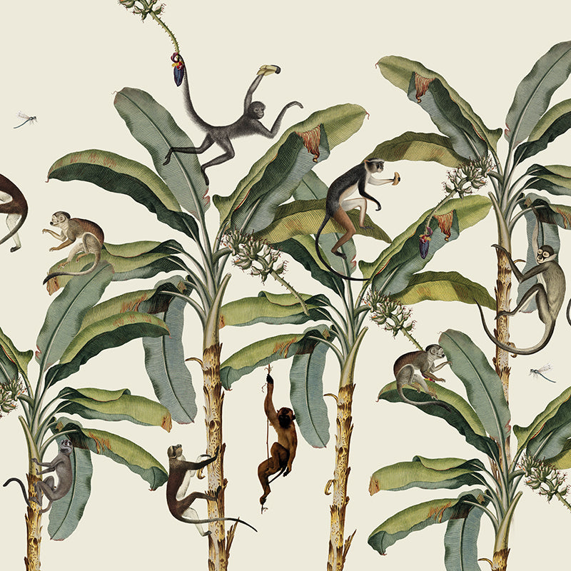 Monkey Business Wallpaper