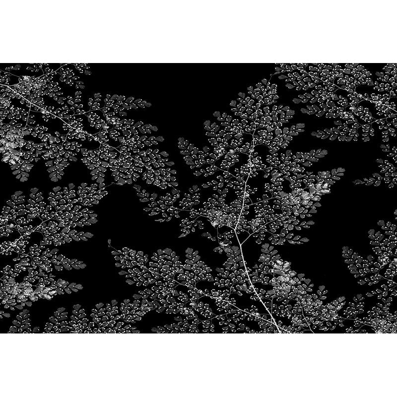 Award-winning wallpaper Samples available Shop at Sarza