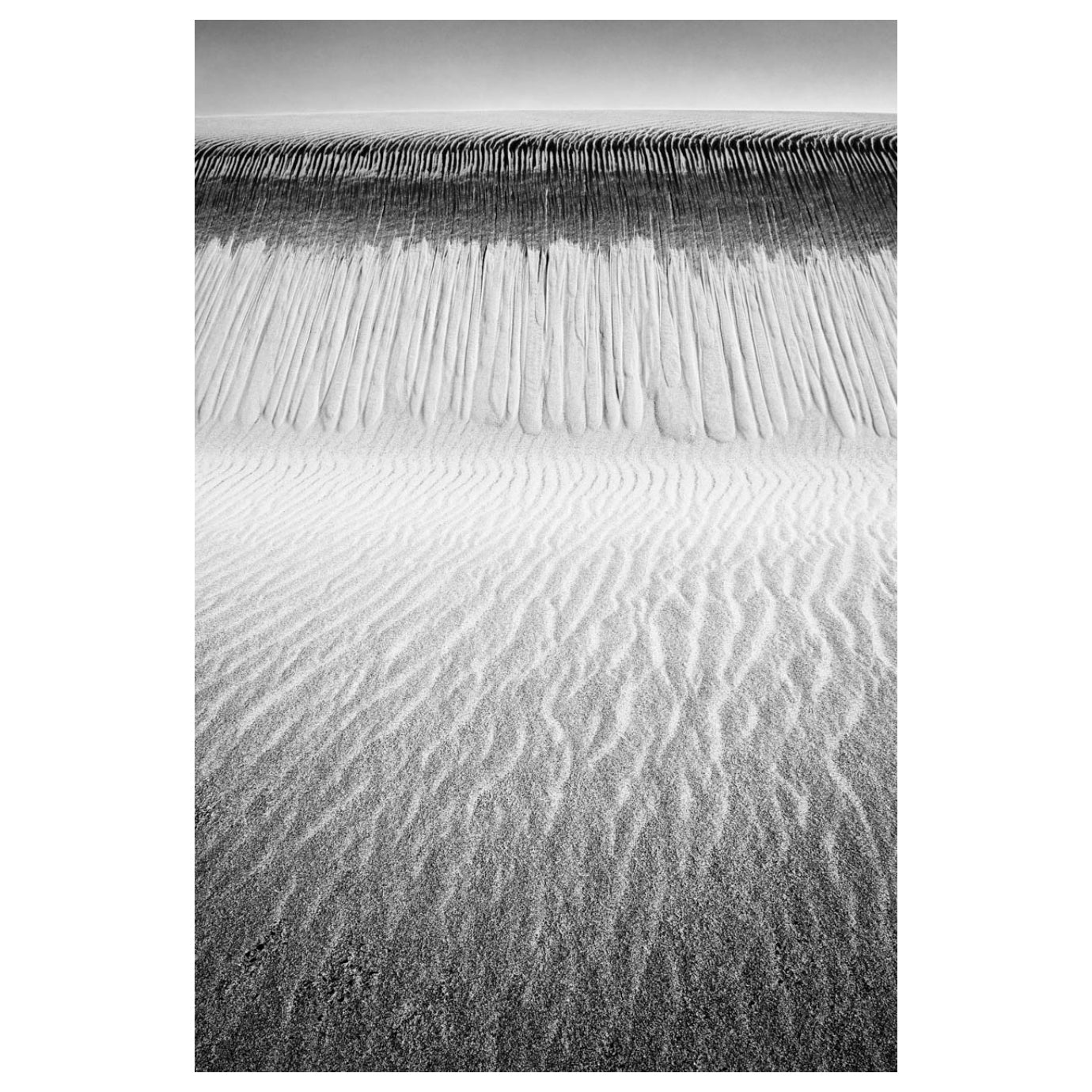 NAM_08.jpg