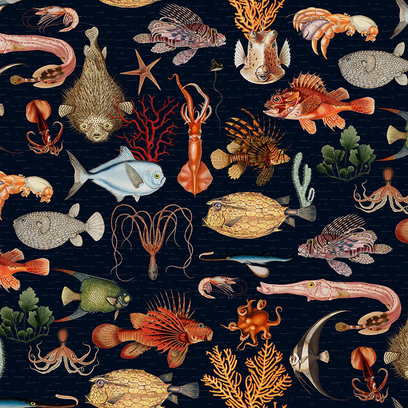 Oceania – Navy Wallpaper