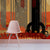 OkapiBackground-2.jpg