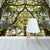 Oliver-Barnett-Oak-CloisterNEW.jpg