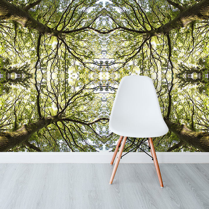 Oliver-Barnett-Oak-Mandala-NEW.jpg
