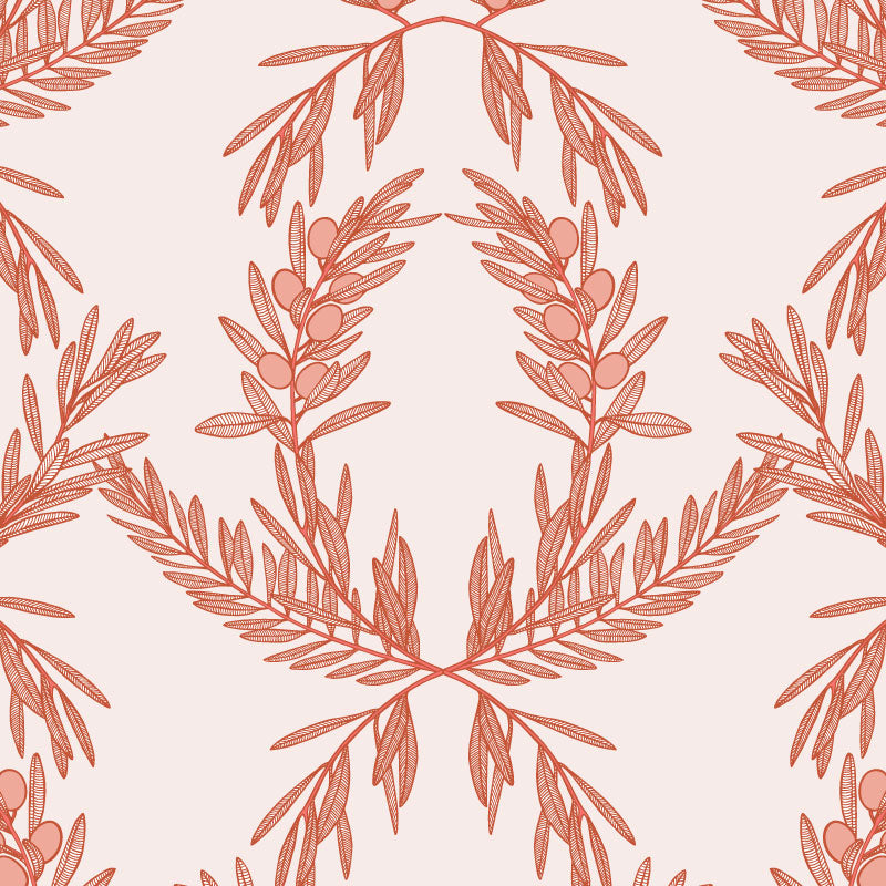 Olivia-Classica-Rosa-by-Patricia-Braune.jpg