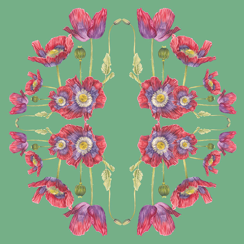 Award-winning wallpaper | Samples available | Shop at Sarza