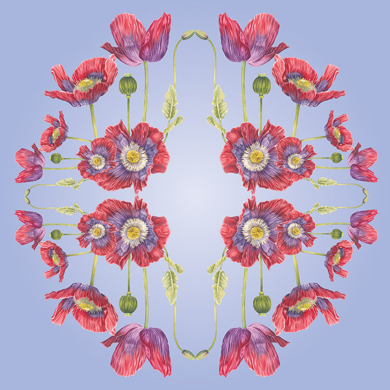 Opium-Poppy-Wall-Mural-Lilac-by-Adrienne-Kerr-1.jpg