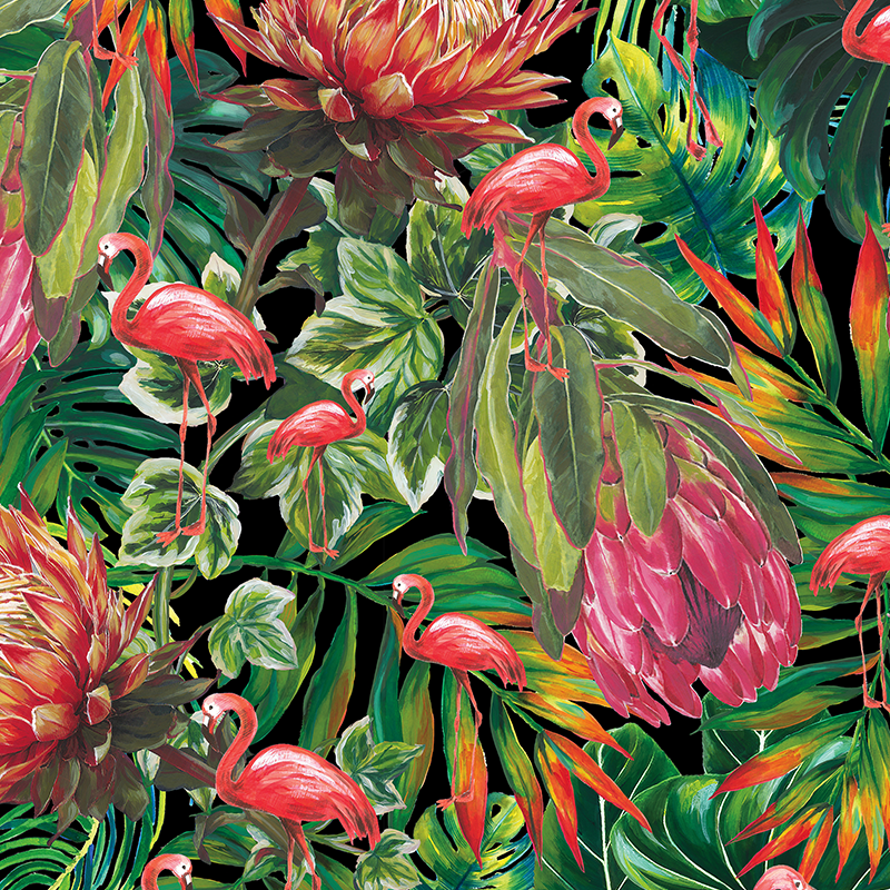 PROTEA____FLAMINGO_DESIGN_BLACK_THARIEN_SMITH.png