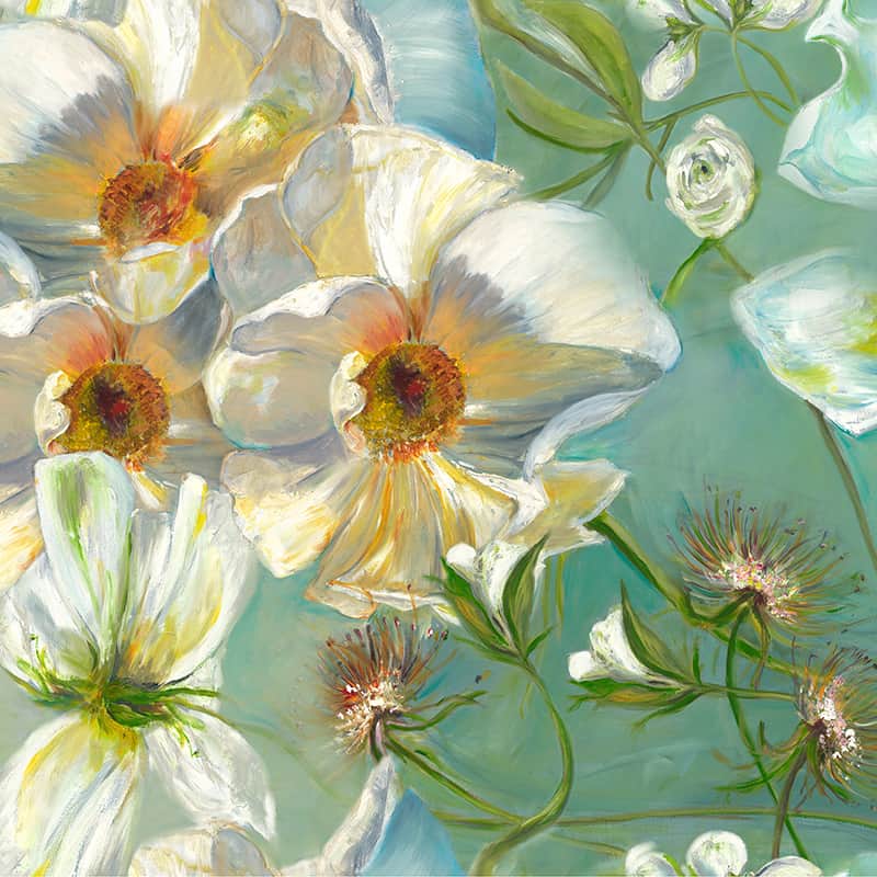 Pansy-800x800-1.jpg
