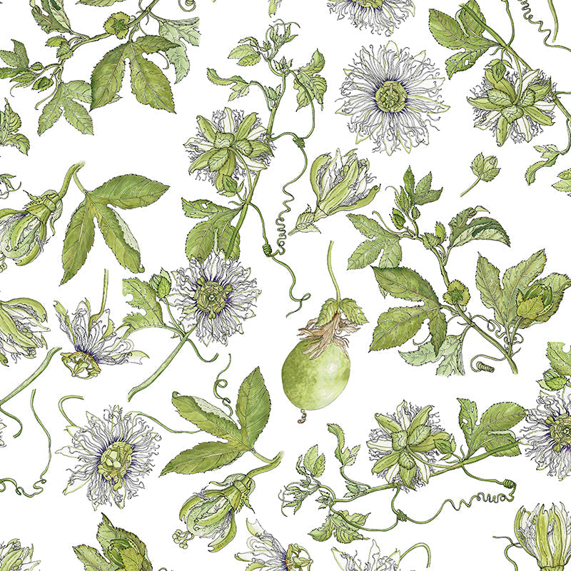 Passionflower-Paradise-by-CoralBloom.jpg