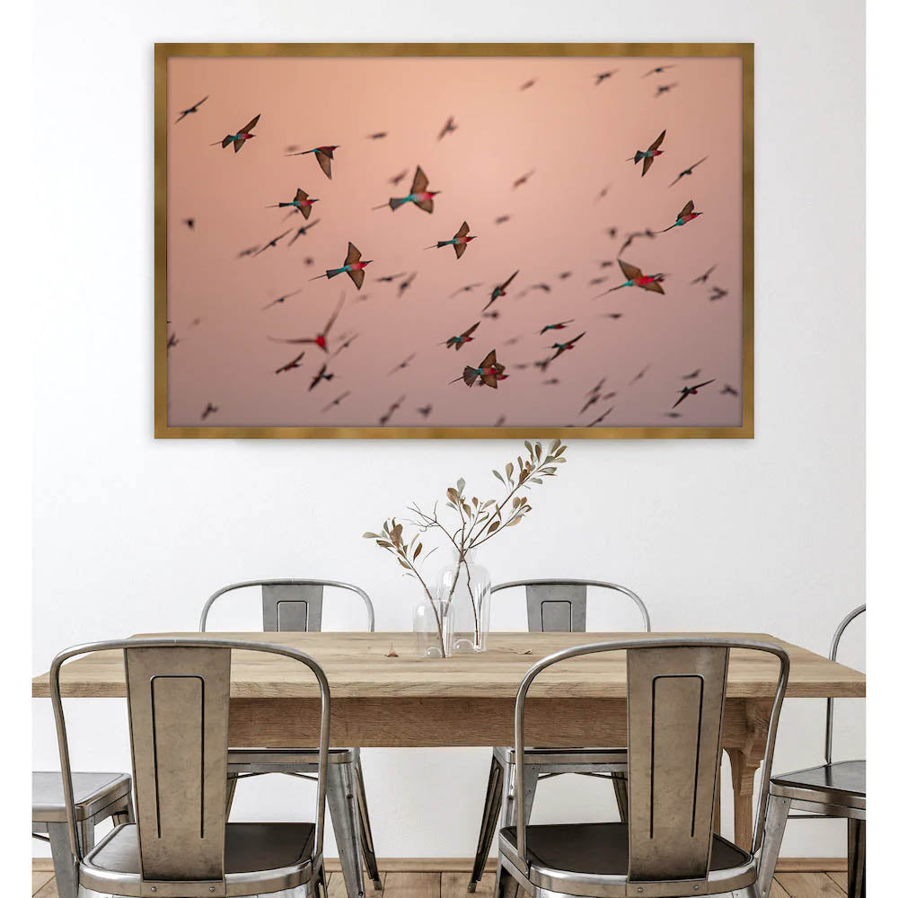 PastelShade-insitu.jpg