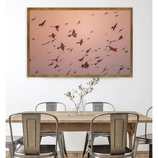 PastelShade-insitu.jpg