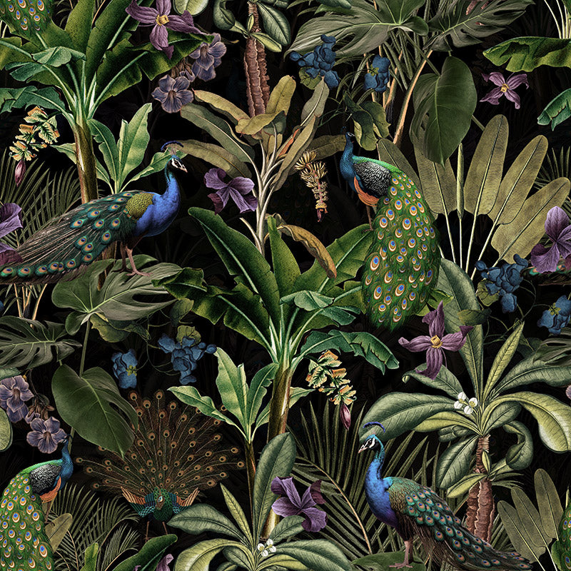 Peacocks and Petals – Black Wallpaper