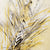 Phoenix Reclinata Wallpaper