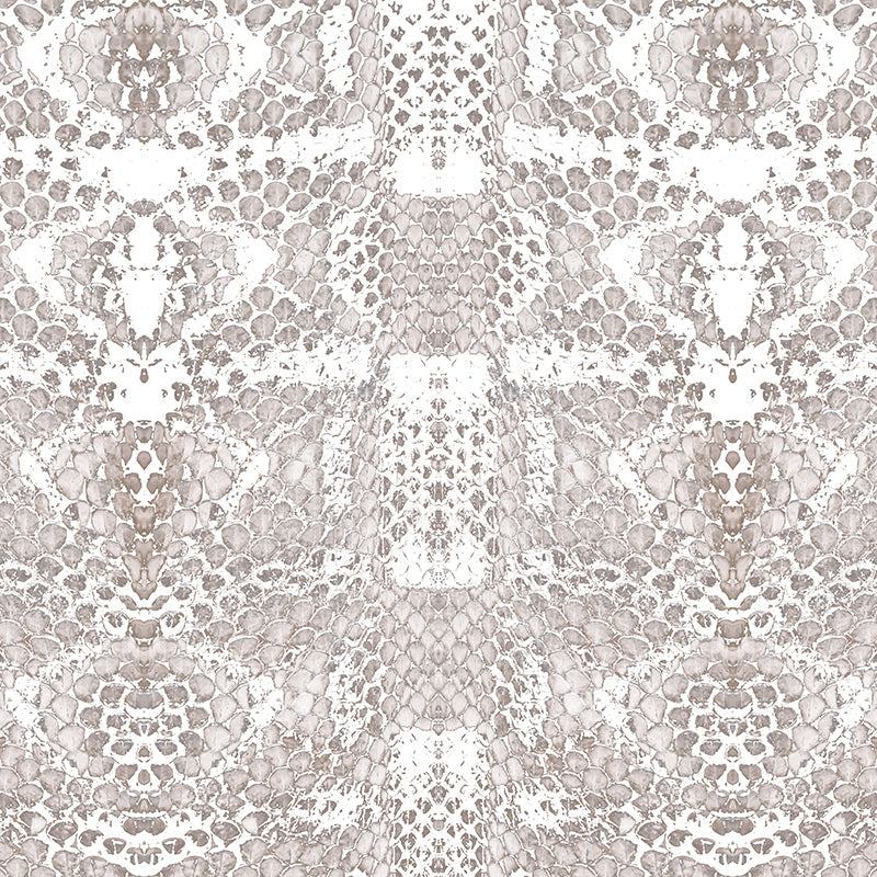 Phython-Pizzazz-by-CF.jpg