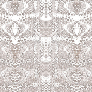 Python Pizzazz Wallpaper