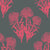 Pincushion-Coral_800x800_Tharien-Smith.jpg