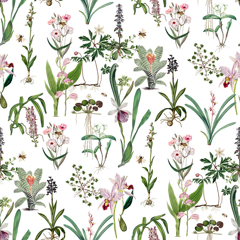 Pink Blush – White Wallpaper