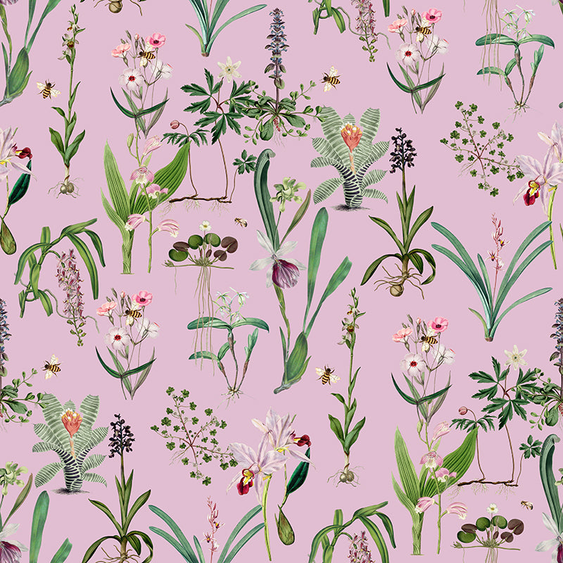 Pink Blush – Pastel Pink Wallpaper