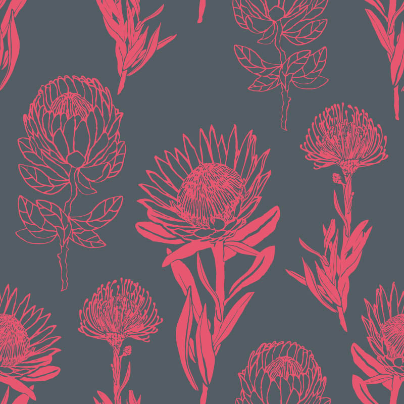 Protea-Combo-Coral_800x800_Tharien-Smith.jpg