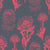 Protea-Combo-Coral_800x800_Tharien-Smith.jpg