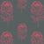 Protea-Coral_800x800_Tharien-Smith.jpg
