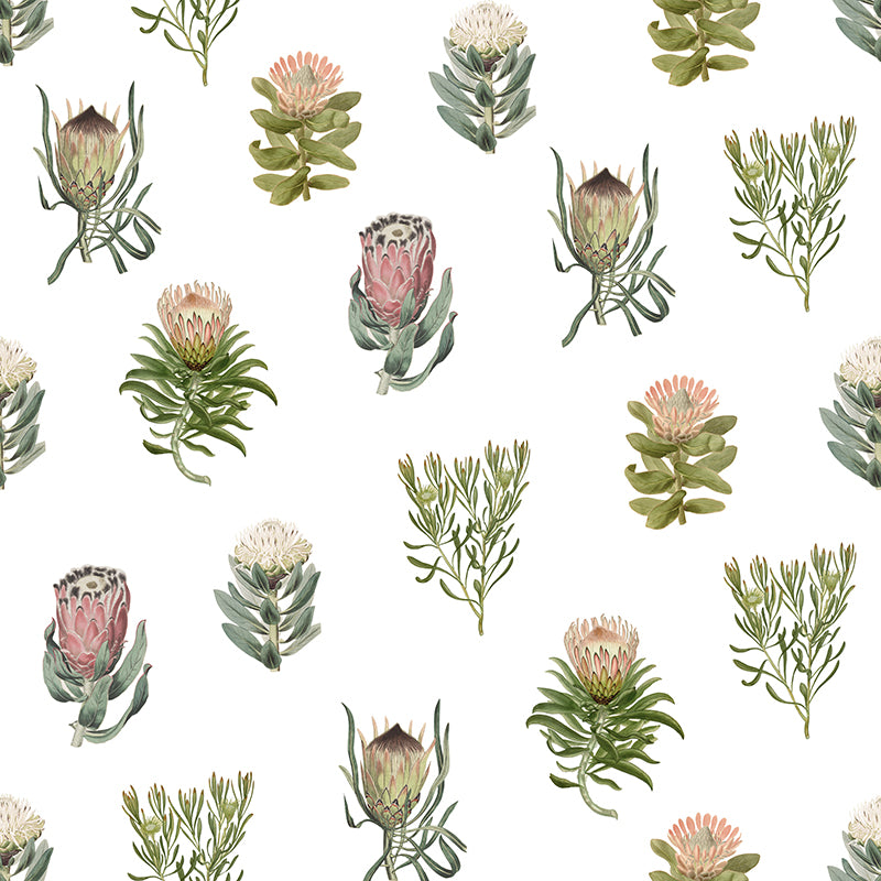 Protea – Spaced Wallpaper