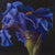 Purple Velvet Mural Wallpaper