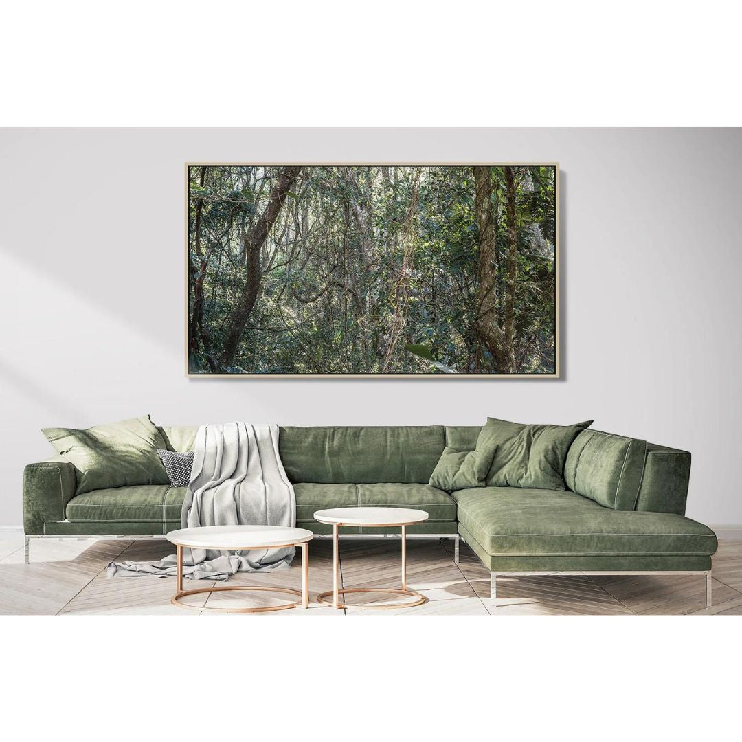 Rain-Forest.jpg