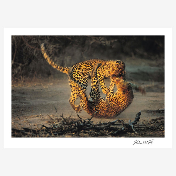 ファブリックパネル ファブリックボード 『Leopard』 Fighting Leopards