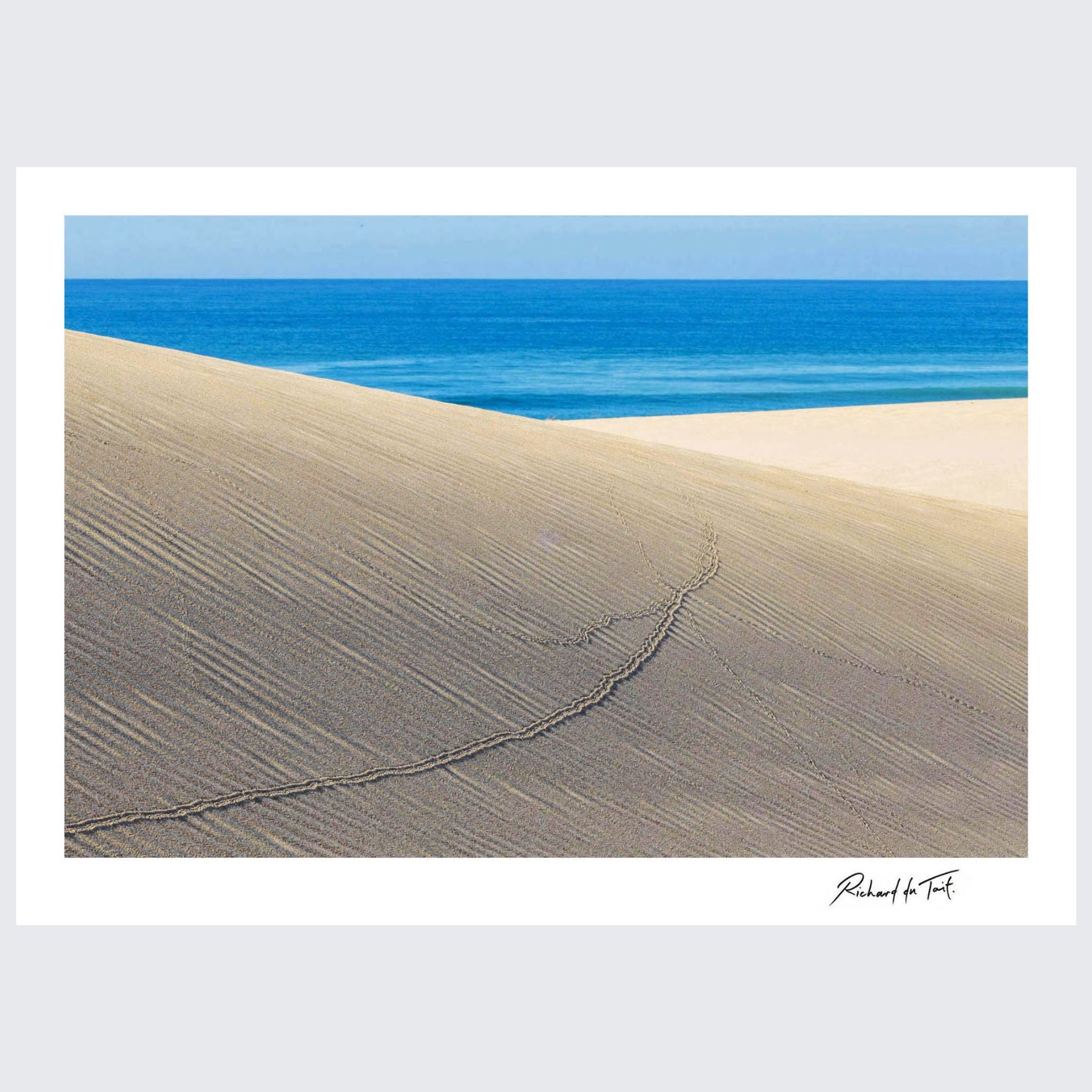 RdT_346_Tracks_Sundays_River_Mouth.jpg