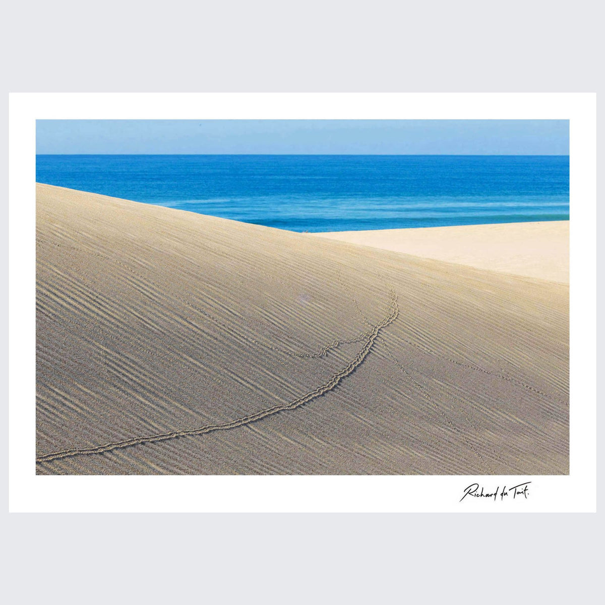 RdT_346_Tracks_Sundays_River_Mouth.jpg