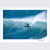 Big Wave Surfer