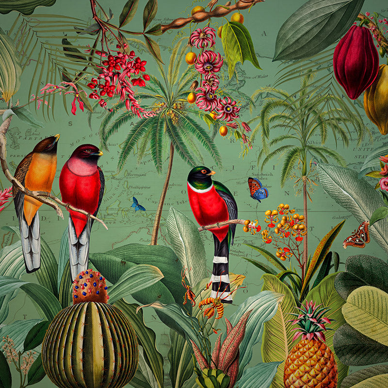 Red Tropical Birds with Fruit and Flowers – Darker Wallpaper