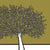 Richard-Scott-Olive-Tree-860-x-609.jpg