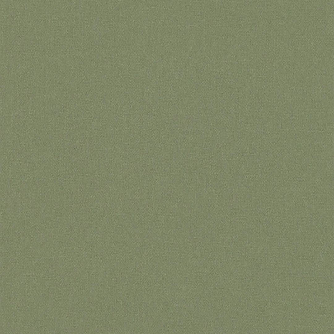 Romo_Osumi_Fern.jpg