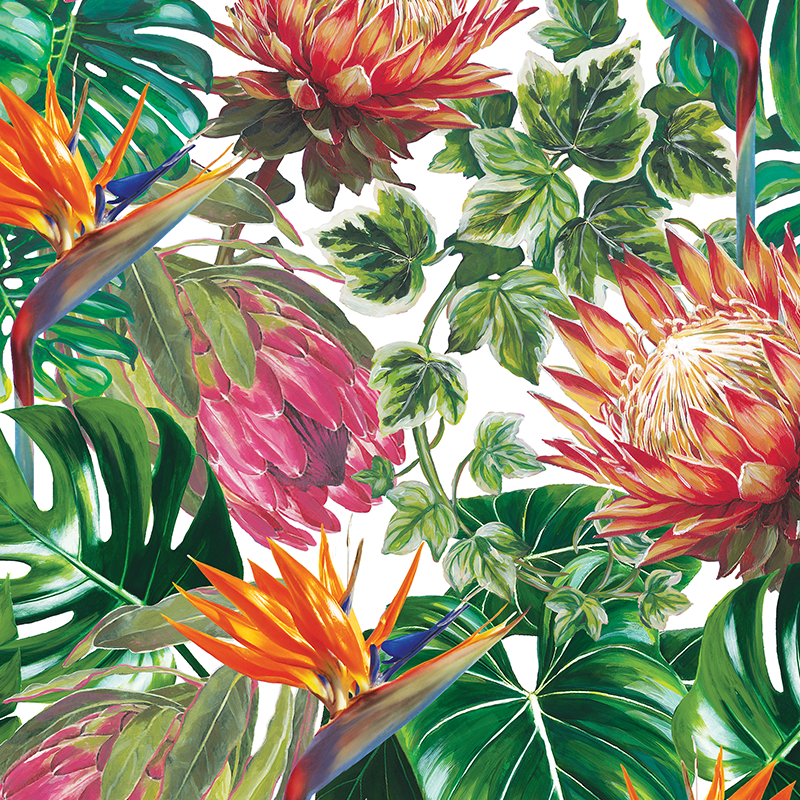 STELITZIA___PROTEA_DESIGN_WHITE_THARIEN_SMITH.png