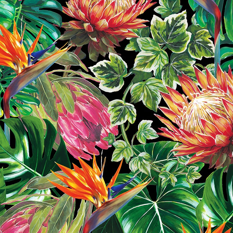 STRELITZIA___PROTEA_DESIGN_BLACK_THARIEN_SMITH_copy.jpeg