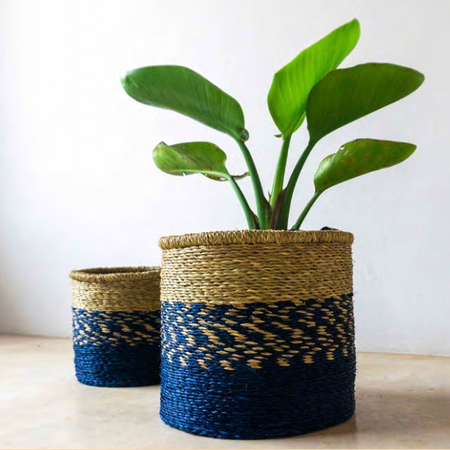 Indigo+missoni_platted.jpg
