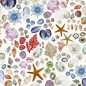 Seashell Treasures wallpaper